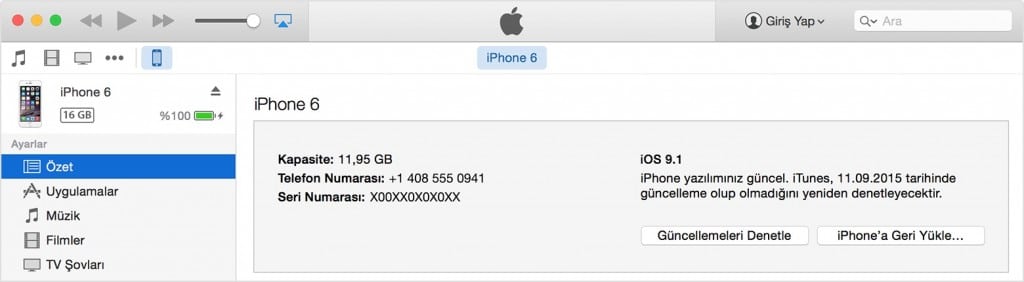 iphone itunes restore