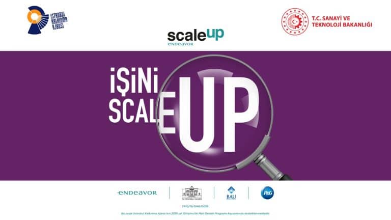 Scale Up 3