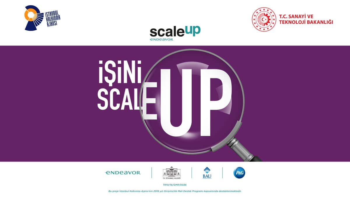 Scale Up 3
